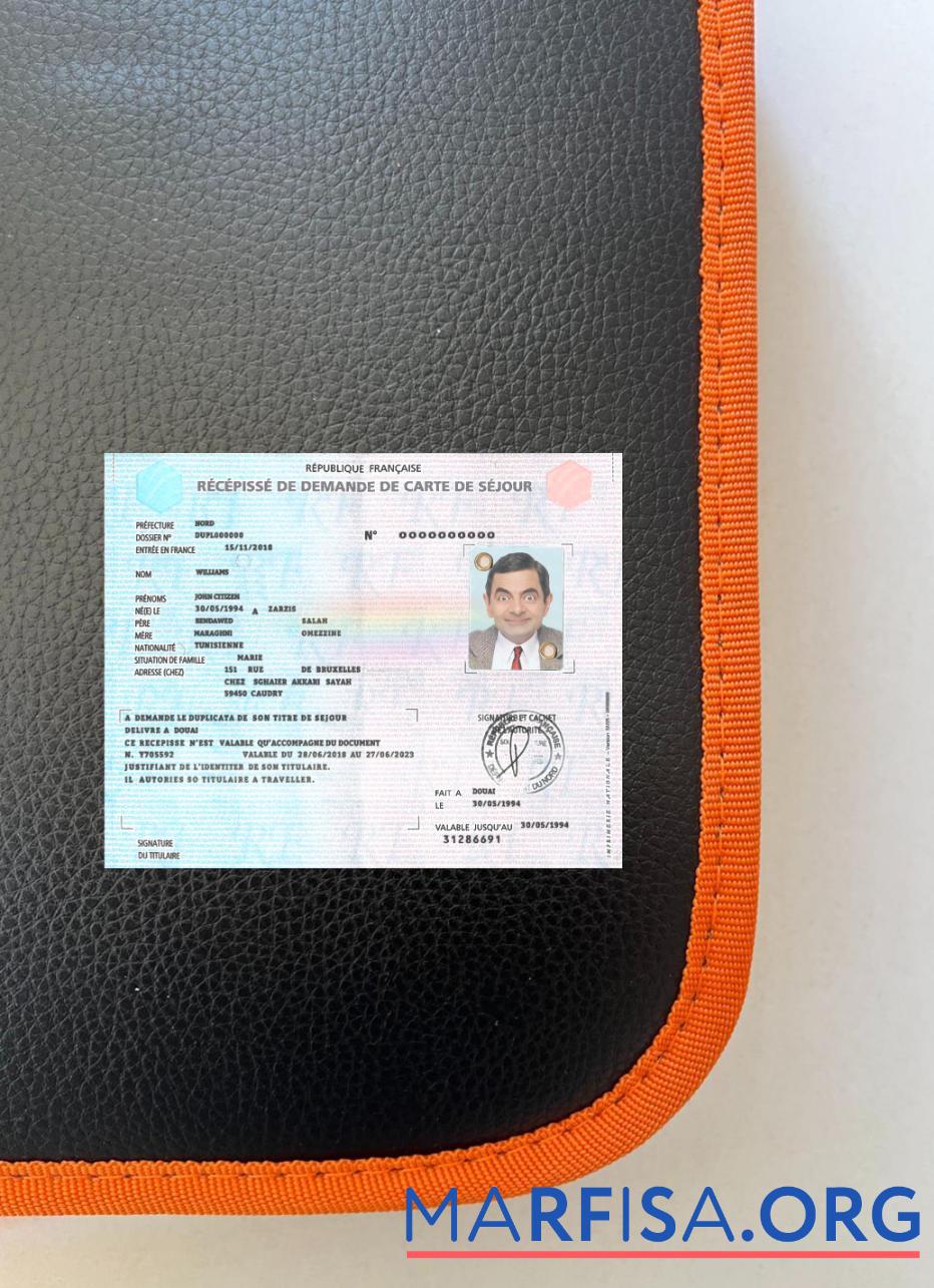 Printable France residence card application receipt photolook sample